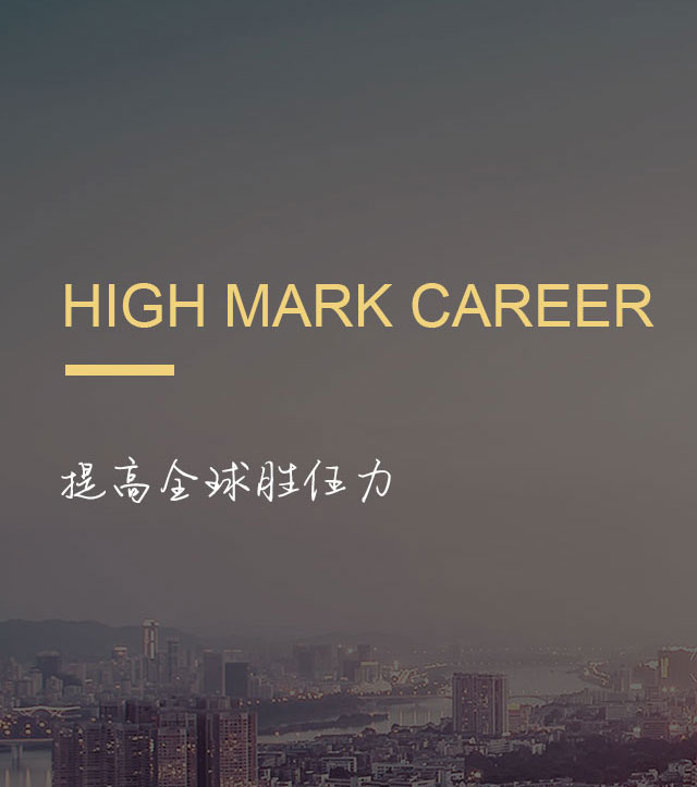 提高全球胜任力