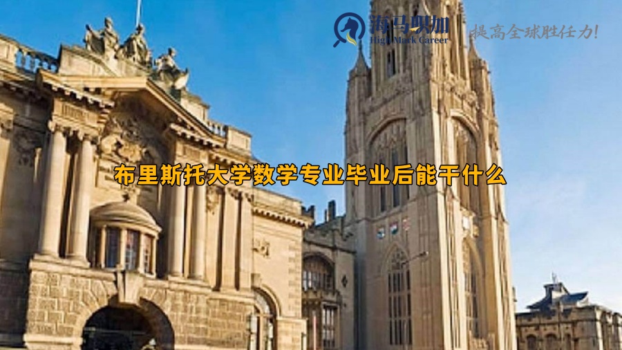 布里斯托大学数学专业毕业后能干什么