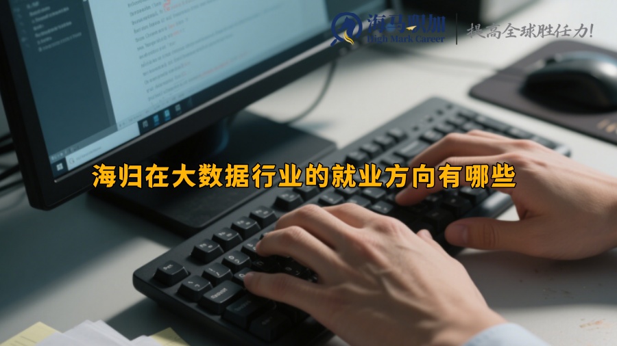 海归在大数据行业的就业方向有哪些 