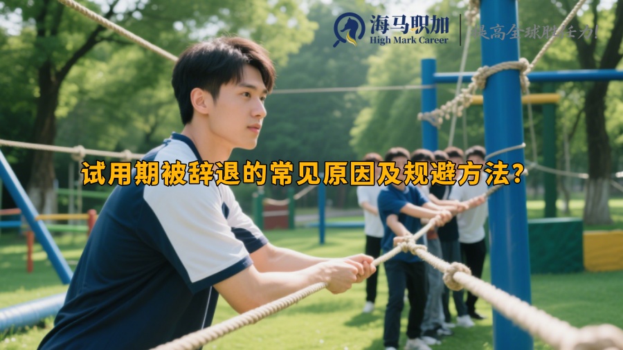求职
