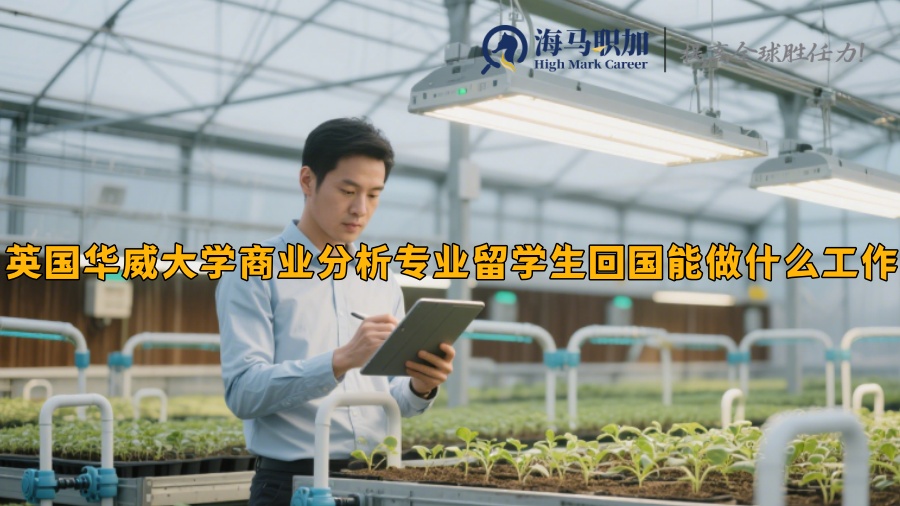 英国华威大学商业分析专业留学生回国能做什么工作 